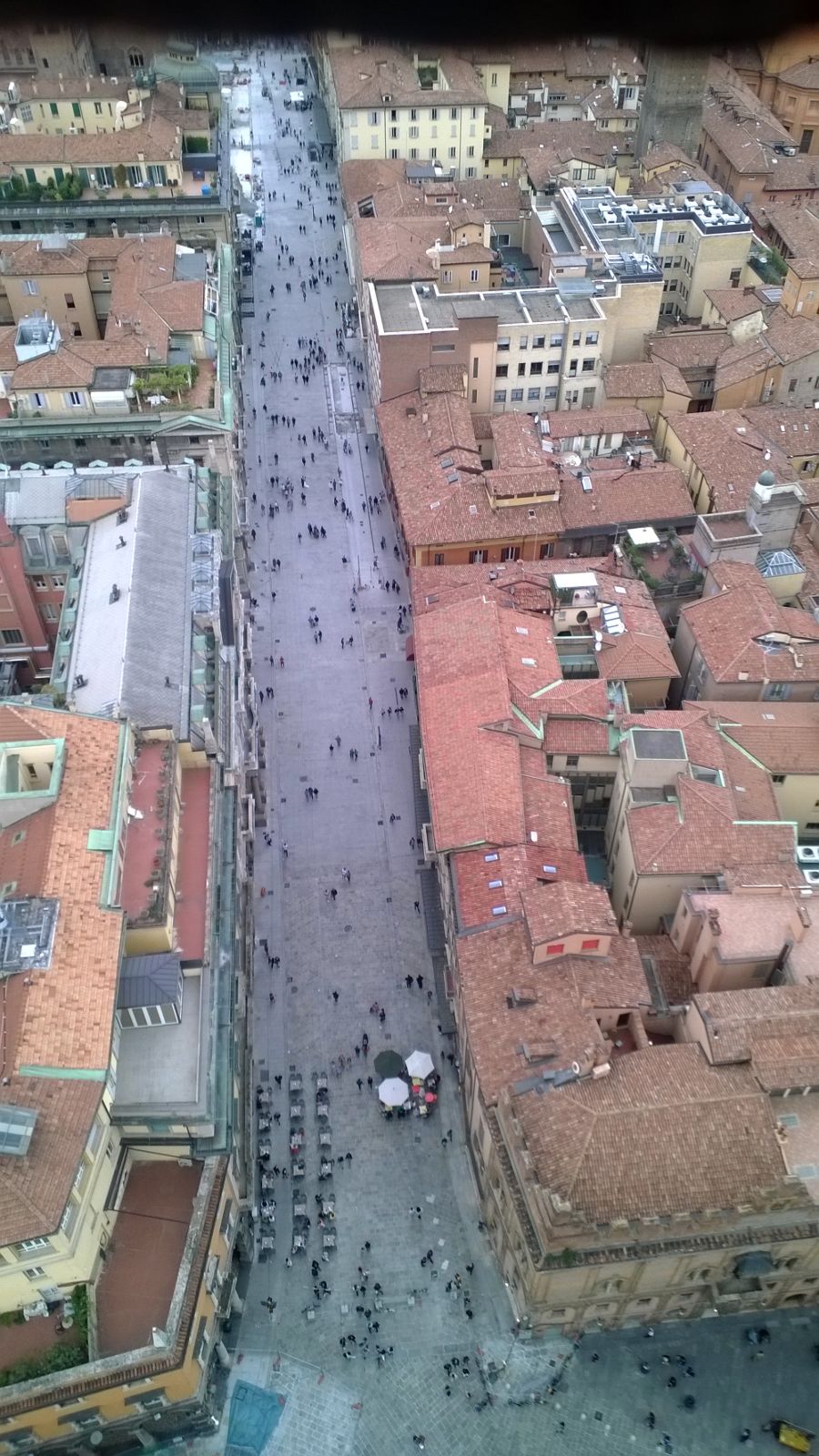 Bologna, via Rizzoli vista dall'alto della torre degli Asinelli